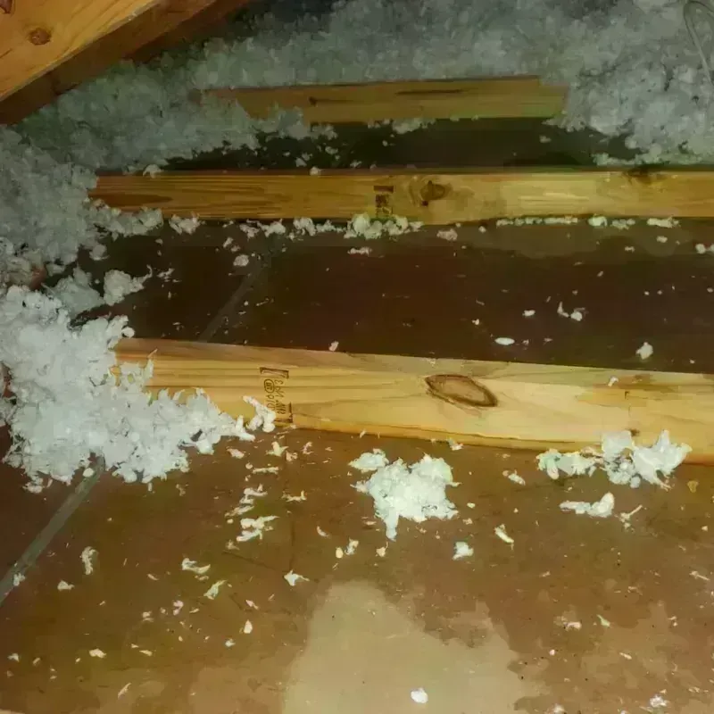 Attic Water Damage in Madison County, GA