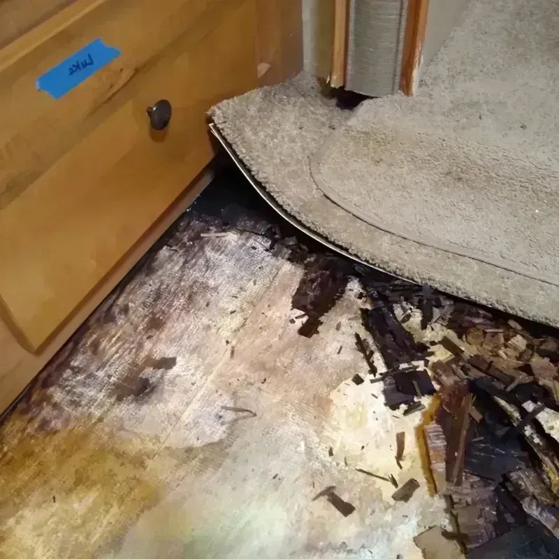 Wood Floor Water Damage in Madison County, GA